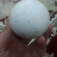 سنگ آسیاب|کلکسیون اشیاء عتیقه|ملایر, |دیوار