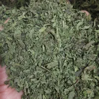 نعناع خشک
