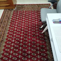 فرش مشهد ۶ متری|فرش|گرگان, |دیوار