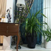 دستک پرده شیک در حد نو نو مفت