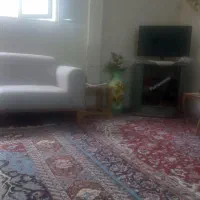 خانم جهت امور منزل و اشپزی