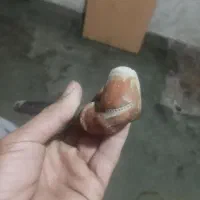 لوازم قدیمی نجس درج یک|کلکسیون اشیاء عتیقه|نیشابور, شهرآرا|دیوار