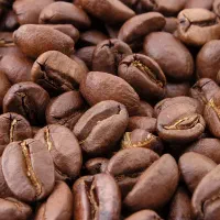 قهوه ۱۰۰ روبستا