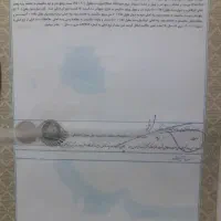 کرایه سند