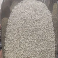 کنجد‌. مایه