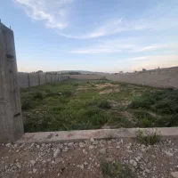 هزار-متری-تاج-محل