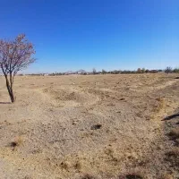 زمین|فروش زمین و ملک کلنگی|درگزین, |دیوار