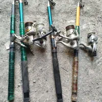 لنسر ماهیگیری