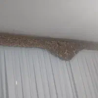 کتیبه پرده