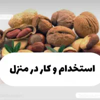 استخدام و کار در منزل
