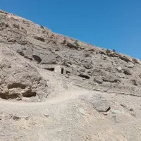 آموزش دو و میدانی