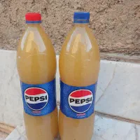 فروش ابغوره ارگانیک برا امسال