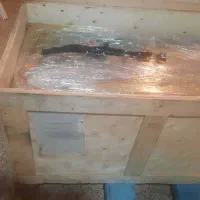 دستگاه دلیمانجو صفر چینی با کارکرد بهتر از کره ای