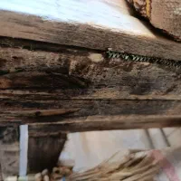 قفسه حیوانات|لوازم جانبی حیوانات|ایلام, |دیوار