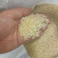 برنج کامفیروزی شیراز|خوردنی و آشامیدنی|اصفهان, صدف|دیوار