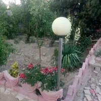 فروش-باغ