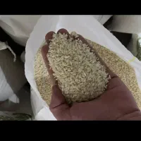 عنبربو درجه یک تولکی بشرط