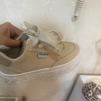 کفش در حد نو|کیف، کفش، کمربند|گنبد کاووس, |دیوار