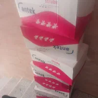 بذر چغندر انتیک
