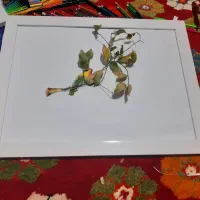 ترسیم ترکیبی گل و بلبل با تک شاخه طبیعی|تابلو، نقاشی، عکس|شیراز, امام حسین|دیوار