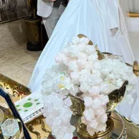 اجاره لباس عقد و عروسی خیریه|لباس|تهران, ایران|دیوار