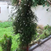 ویلایی ۳۲۰ دو کله/دو طبقه/ میدان امام علی/ تک برگ