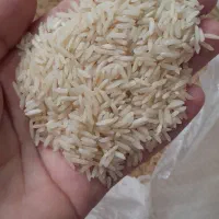برنج هاشمی ۴۸۰