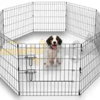 پارک سگ استفاده نشده