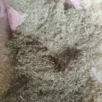 یونجه، کاه، بره،