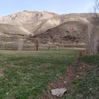 زمین باغی . زراعی