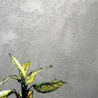 میکروسمنت با لاک پلی یورتان خارجی|خدمات پیشه و مهارت|تهران, تهرانپارس شرقی|دیوار