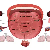 مشاوره رایگان