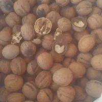 گردو و بادام