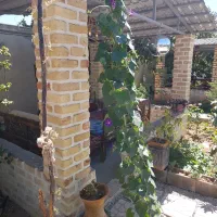 سفره خانه سنتی باغ ایرونی ساوه غرق آباد بالقلو|خدمات پذیرایی، مراسم|ساوه, |دیوار