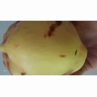 به تازه کیلویی ۱۳۰