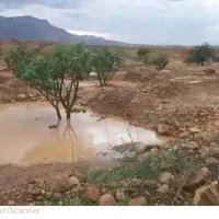 انجیرستان در بخش تم توره (فروش مساحت دلخواه شما )