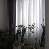 پرده درحدنو