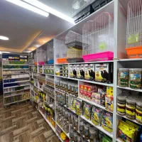 پت شاپ طوطی سانان (پرنده فروشی)|لوازم جانبی حیوانات|بابل, |دیوار