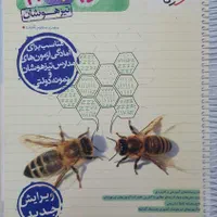پکیج قبولی در مدارس سمپاد و نمونه دولتی|کتاب و مجله آموزشی|قم, شاه ابراهیم|دیوار