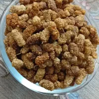 آنلاین شاپ الماس