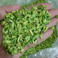 فروش خلال پسته و خلال بادام درختی و بادام زمینی