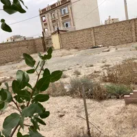 زمین مسکونی ۴۷۵متری بر۲۰مترسندتک برگ|فروش زمین و ملک کلنگی|رباطکریم, رباطکریم|دیوار