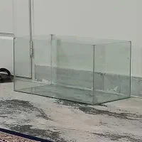 آکواریوم|ماهی|سبزوار, نواب صفوی|دیوار