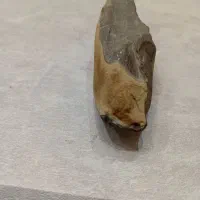 سنگ قیمتی|کلکسیون اشیاء عتیقه|خاوران, |دیوار