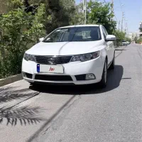 سراتو خشک ۹۵