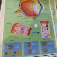 فروش تجهیزات ازمایشگاهی دبیرستان