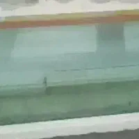 اکواریوم ماهی