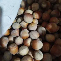 فندق تازه وخوش طعم طارم زنجان