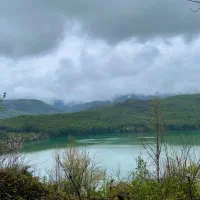 زمین ویو جنگل  در لفور|فروش زمین و ملک کلنگی|آلاشت, |دیوار