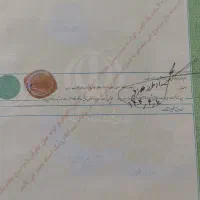 فروش فوری یک قطعه زمین|فروش زمین و ملک کلنگی|دشتیاری, |دیوار